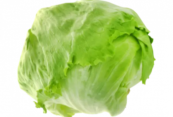 Iceberg Lettuce