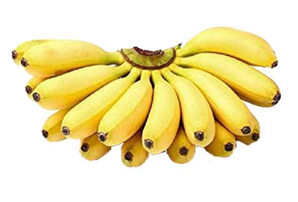 Banana Yelakki