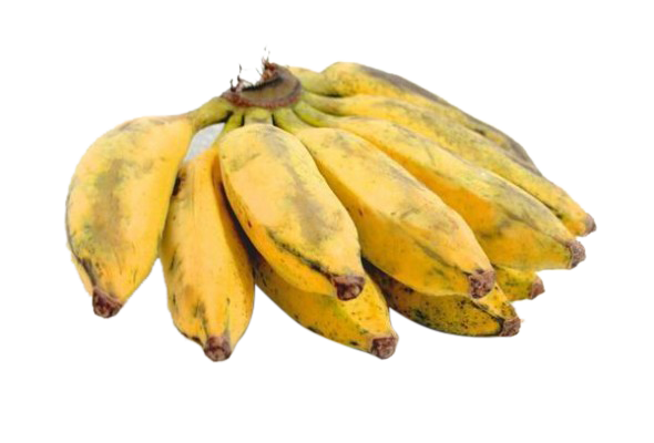 Hill Banana