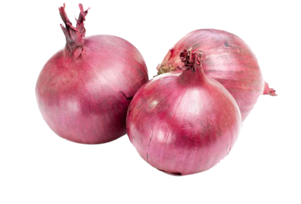 Onion Big Nasik