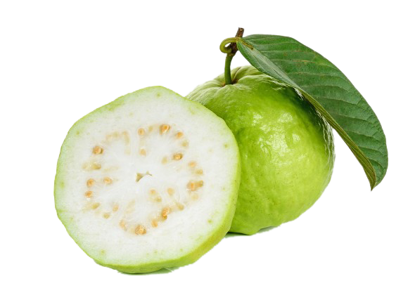 Guava White
