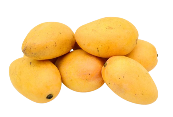 Mango Fruit Banganapalli