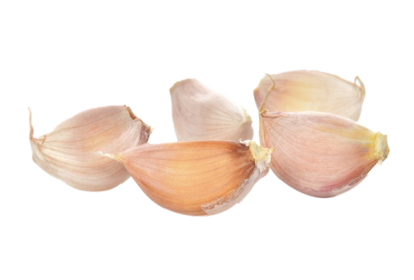 Garlic Split