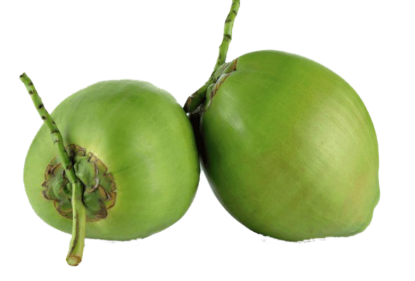 Tender Coconut Fresh