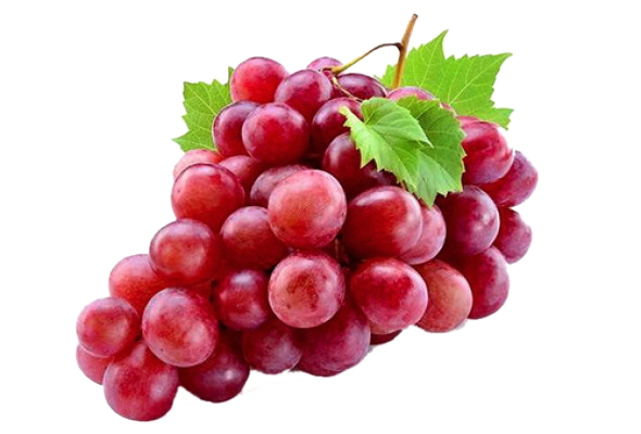 Red Globe Grapes Imported