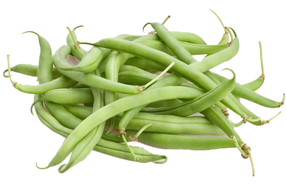 Beans White