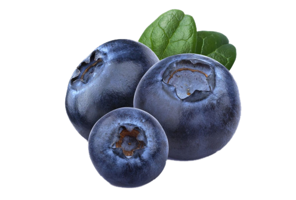 Blueberry Imported