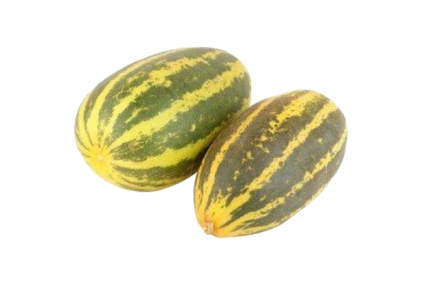 Malabar Cucumber