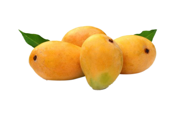 Mango Fruit Neelam