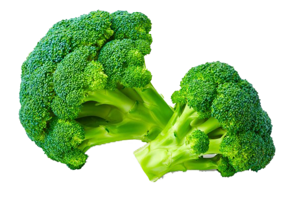 Broccoli Ooty